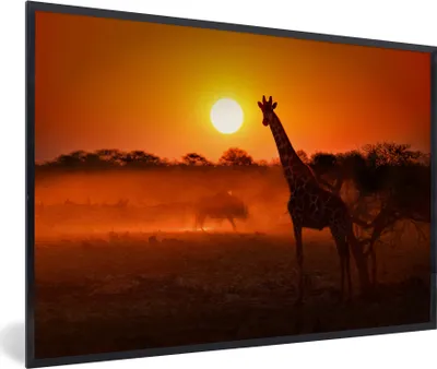 Produktbild von MuchoWow® MuchoWow® Gerahmtes Poster Giraffe - Sonne - Savanne 90x60 cm - Poster mit zchwarzem Bilderrahmen - Fotorahmen - Foto-Plakat