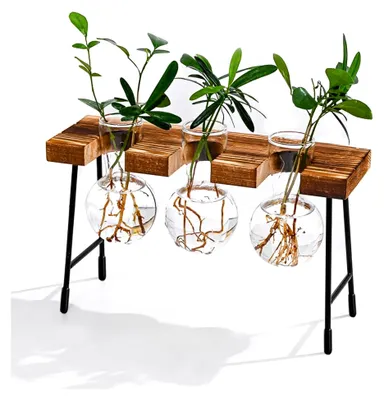 Produktbild von Hydroponische Glasvase Hängevase Blumenvase Tischvase für Luftpflanzen Terrarium Schreibtisch Dekovase mit Holzhalter für Büro, Haus und Garten (3 Vasen)