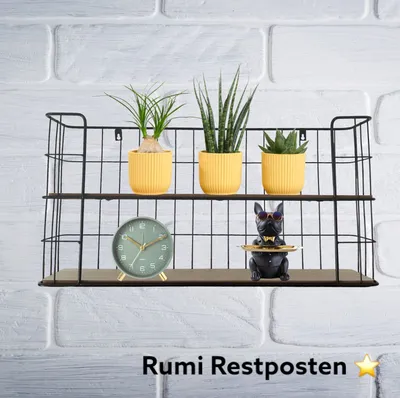 A black metal shelf with two wooden shelves, decorated with potted plants, a clock, and a dog figurine.