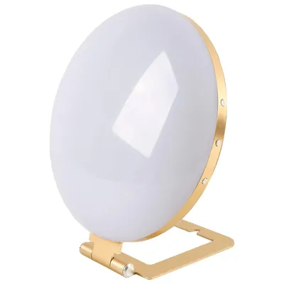 Image de Lampe de lumière du jour Lykke Premium 3000