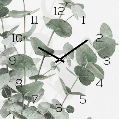 Produktbild von Wanduhr 30x30cm Alu-Dibond Eukalyptus Blätter Alubild Uhr Wanddeko Kunstdruck