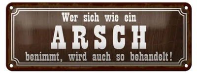 Produktbild von Blechschild Spruch 27x10cm wer sich wie ein Arsh benimmt Dekoration