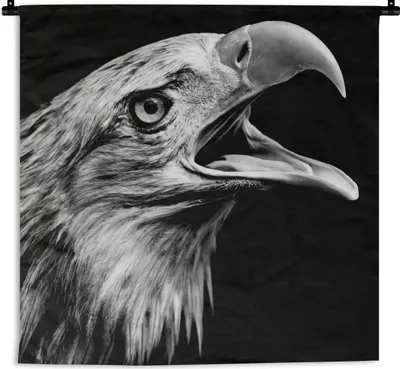 Produktbild von MuchoWow® Wandteppich Wandbehang Adler - Porträt - Raubvögel - Schwarz - Weiß - Vogel 90x90 cm Tapisserie Dekoration Wandtuch - Wandaufhänger