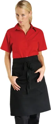 Produktbild von Dennys Unisex Gastronomie Schürze mit Tasche PC2439 (Einheitsgröße) (Schwarz)
