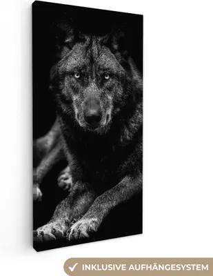 Obrázek produktu pro OneMillionCanvasses® - Plátna - Zvířata - Vlk - Černá - Bílá - Portrét, Nástěnná malba, Nástěnná dekorace Obývací pokoj Obrazy, 20x40cm