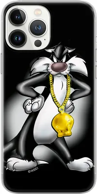 Produktbild von ERT GROUP Looney Tunes Handyhülle für SAMSUNG GALAXY NOTE 20 Muster Sylvester 002 WPCSYLVE1149