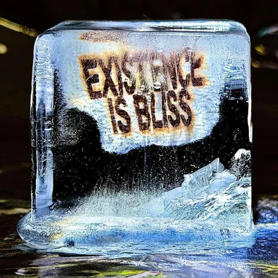 Immagine prodotto di Deadletter: Existence Is Bliss (Vinile bianco perla trasparente)