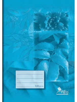Image de CARNET Seå  ¡ it 520e bleu