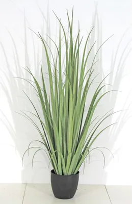 Produktbild von Velda Kunstpflanze Sumpf-Gladiole Größe S 851000