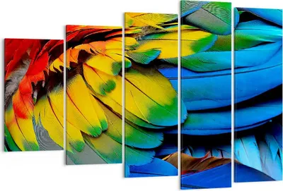 Produktbild von Bild auf Leinwand - Leinwandbild - Feder Papagei Vogel - 150x100cm - Wand Bild - Wanddeko - Leinwanddruck - Bilder - Kunstdruck - Wanddekoration - Leinwand bilder - Wandkunst - EG150x100-3428