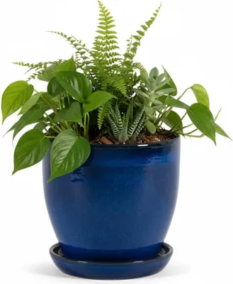 Immagine prodotto di Fioriera modello "EggPot" 38 cm in Vetroceramica blu reale con piattino