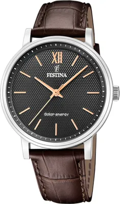 Obrázek produktu pro Hodinky Festina F20660-6 hnědé