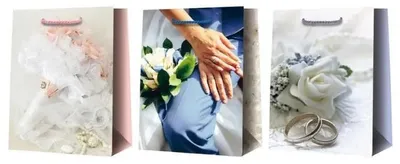 Produktbild von Geschenkverpackung T 265 x 325 x 135 – MFP