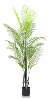 Image de Palmier Areca artificiel, 180 cm de haut, en pot – Grande plante artificielle réaliste, résistante aux intempéries et aux UV, plante d'intérieur décorative pour le salon, le bureau, le balcon, la terrasse ou l'extérieur.