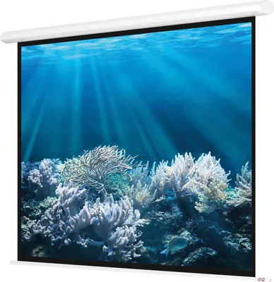 Produktbild von Magnetoplan elektrische Leinwand Cineflex Advanced - 240x240cm - 1:1 - Weiß