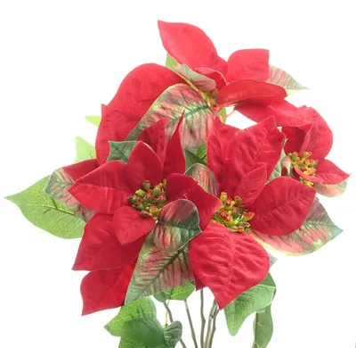 Produktbild von Weihnachtsstern - Poinsettienbusch Rot 45 cm - Kunstblumen