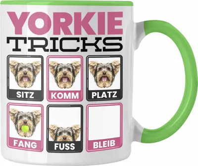 Produktbild von Trendation - Yorkie Besitzer Tasse Geschenk Lustiger Spruch Geschenkidee Yorkie Tricks Bleib (Grün)