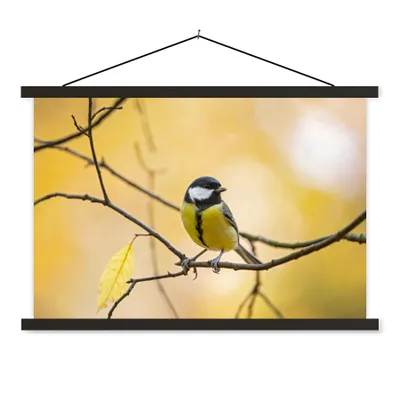 Produktbild von MuchoWow® Textilposter Kohlmeise - Zweig - Vogel - Tiere 60x40 cm mit schwarzem Rahmen - Hölzernes