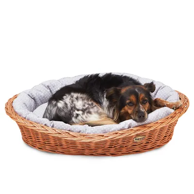 Produktbild von Handgeflochtener Weidenkorb Wikikorb mit Baumwoll-Hundebett – Grau mit weißen Punkten Polka Dots – Waschbar & Gepolstert – DOTTY