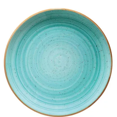 Image de Aura Aqua, assiette plate gourmet, diamètre 19 cm, lot de 12