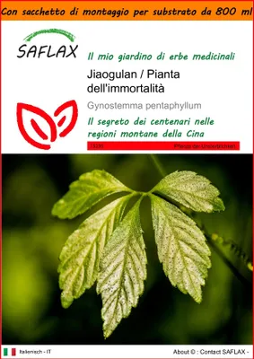 Immagine prodotto di SAFLAX Garden in the bag - Jiaogulan / Pianta dell'immortalità - 30 semi - Gynostemma