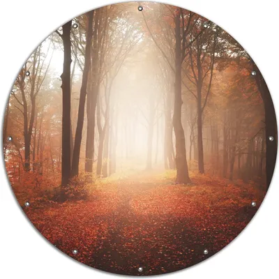 Produktbild von Wallario rundes Outdoor-Poster für Garten oder Balkon, Motiv Herbstwald - Weg zu einer Lichtung im Wald, 120 cm Durchmesser