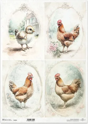 Image de Papier de riz découpage Papier de bricolage pour découpage A3 ITD-1402L Poules Cadre