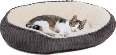 Produktbild von Katzenbett Cameron · Katzenkörbchen · anthrazit-beige · M · ca. 75 x 55 x 20 cm