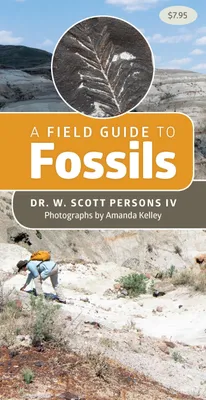 Produktbild von A Field Guide to Fossils