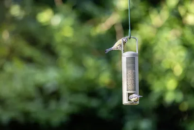 Produktbild von CJ Wildbird Futtersäule für Wildvögel