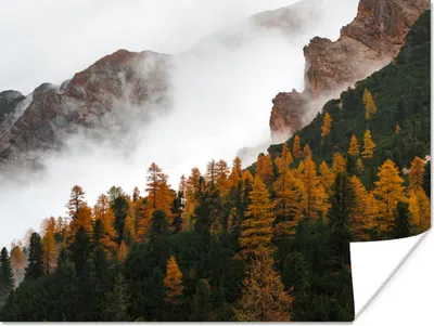 Produktbild von MuchoWow® Poster Berg - Nebel - Wald 120x90 cm - Wandbild