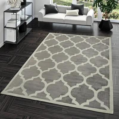 A modern living room with a sofa, shelf, and a large patterned rug.