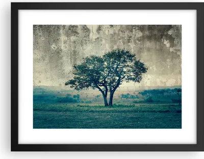 Produktbild von Gerahmtes Poster - Schwarzer Rahmen - Baum Natur Feld - 40x30 cm - Wand Bild - Wanddeko - Wandbilder - Kunstposter - Wandposter - Bilderrahmen - Bilder - Kunstdruck - Wandbild - P2BAA40x30-3627