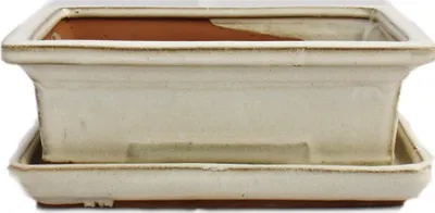 Immagine prodotto di Ciotola bonsai con piattino Gr. 3 - beige chiaro - quadrato - modello G29 - L 18cm - P 13cm - H 6cm