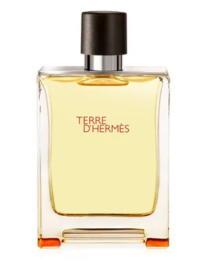 Image de Hermes Terre D'Hermes parfum pour homme 200 ml