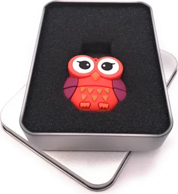 Obrázek produktu pro Onwomania sovička v červených velkých očích USB flash disk v dárkové hliníkové krabičce 32 GB USB 3.0