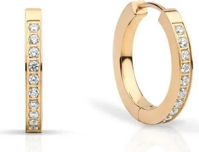 Image de Boucles d'oreilles en acier fin - Bering Jewelry modèle : 726-27-05