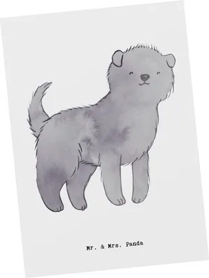 Produktbild von Mr. & Mrs. Panda Grußkarte Affenpincher Lebensretter - Weiß - Geschenk, Ansichtskarten, Postkarten, Fotokarte, Postkarte, Kunstkarten