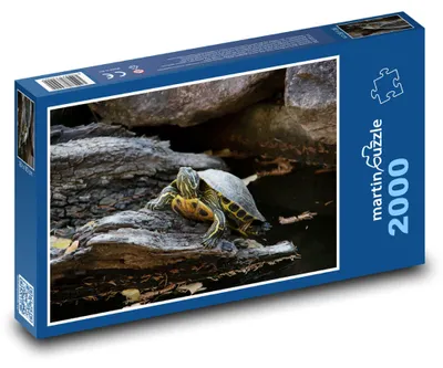 Obrázek produktu pro martinpuzzle - Puzzle 2000 - Želva