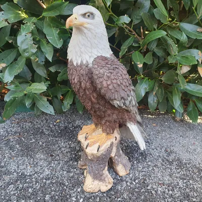 Zdjęcie produktu dla Figurka ogrodowa Orzeł Figurka na gałęzi Orzeł bielik 40 cm
