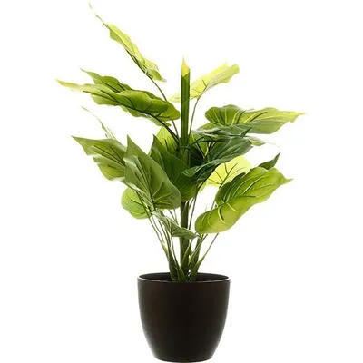 Obrázek produktu pro Umělá rostlina v květináči, dekorativní, 45 cm, černý květináč