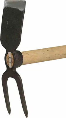 Image de Siena Garden Bineuse de jardin 2 dents avec manche en frêne 135cm, B86789