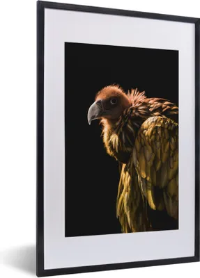 Produktbild von MuchoWow® MuchoWow® Gerahmtes Poster Geier - Raubtier - Vogel 40x60 cm - Poster mit zchwarzem Bilderrahmen - Poster in Rahmen