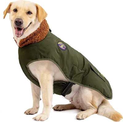 Produktbild von Famanu Hundejacke Winter, wasser- und winddicht für mittelgroße und große Hunde - Größe L