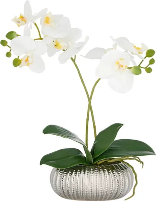 Produktbild von Kunstpflanze Phalaenopsis H 38 cm weiss