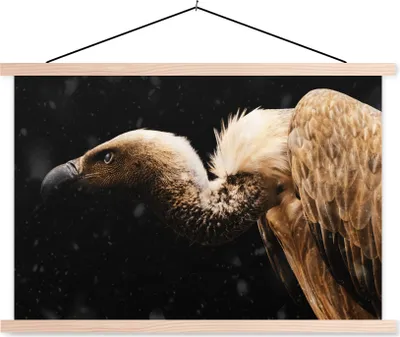 Produktbild von MuchoWow® Textilposter Geier - Vogel - Tiere 120x80 cm mit holzfarbenen Rahmen - Aufhängeset
