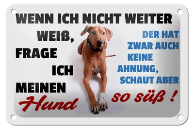 Produktbild von Blechschild Spruch 18x12cm wenn ich nicht weiter weiß Hund