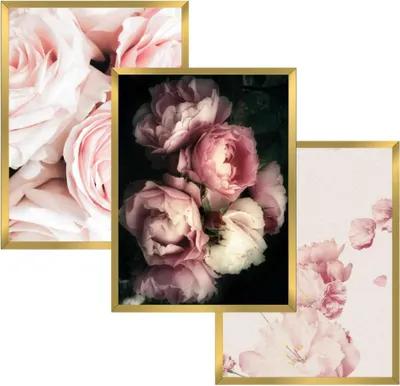Produktbild von Wandposter Set 30x40 Goldrahmen Bilder für Wohnzimmer Schlafzimmer Blumen
