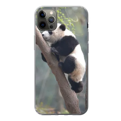 Produktbild von MuchoWow® Handyhülle Schutzhülle Hülle für iPhone 13 Pro Max Panda - Tier - Baum Silikon Softcase Handy Hülle - Mobiltelefon