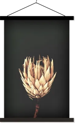 Produktbild von MuchoWow® Textilposter Blume - Exotisch - Stilleben 120x180 cm mit schwarzem Rahmen - Fotos